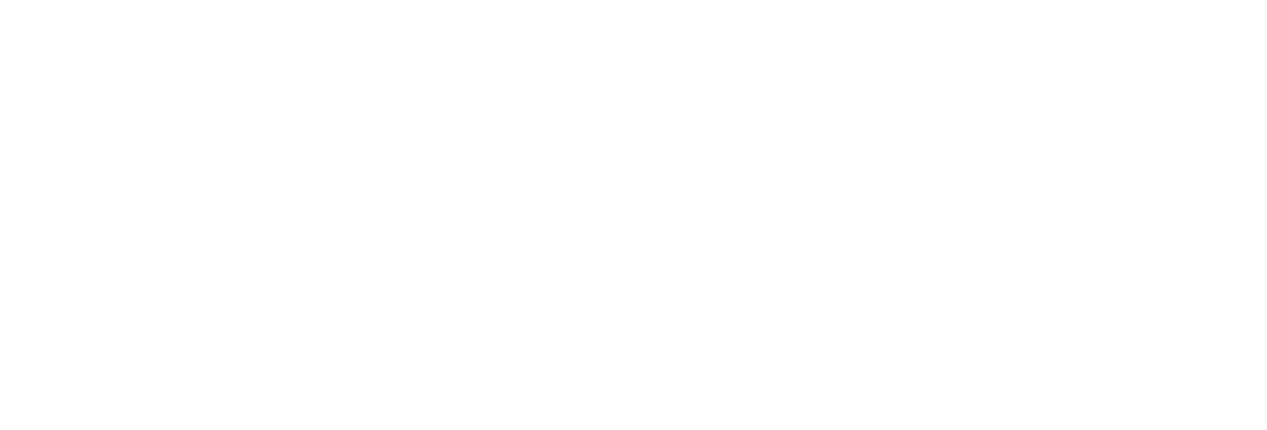 https://www.mainmemory.es/wp-content/uploads/2024/09/Zebra.png